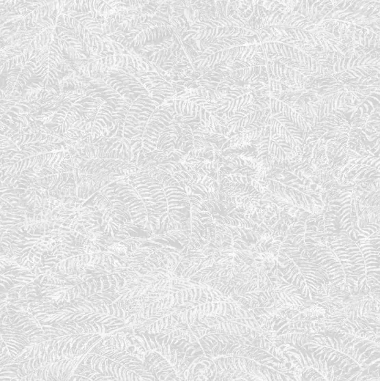M49800.webp M49800 - Imagem 1