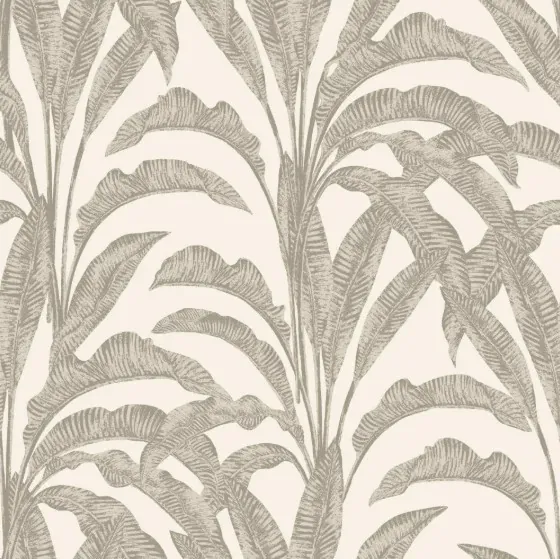 M61907.webp M61907 - Imagem 1
