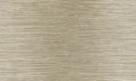 TAC-WKA77904